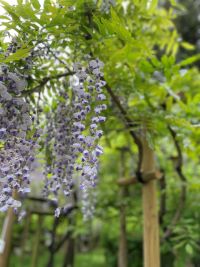 ゴールデンウィークの婚活