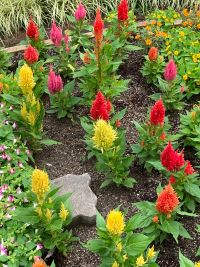 成婚へと進む時の約束