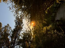 結婚相談所に登録するメリット