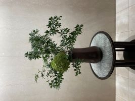 交際から真剣交際へと進むお見合い