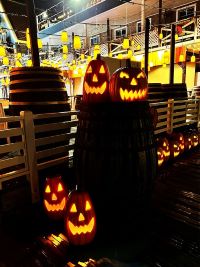 秋の季節になりました