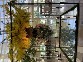 好きな人との結婚生活