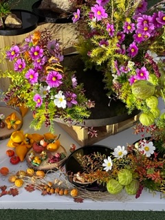 婚活は楽しみながら活動して欲しいです。