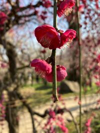 婚活の希望条件とは