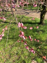 出会いが無い方は、是非婚活を始めて欲しいです