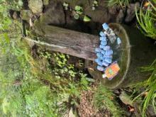 お互いを褒め合って愛を育てて欲しいです。