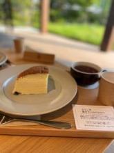 お見合いで交際に進まない