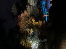 理想のお相手はどんな人ですか？