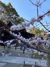 交際したら、その方の良いところを見つけよう