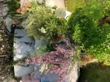 5月のゴールデンウィーク