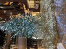 街はイルミネーションが輝いています。