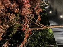 素直な気持ちを伝える勇気を持とう