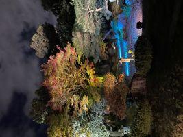 お問合せの連絡の仕方。