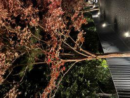 素直な気持ちを伝える勇気を持とう